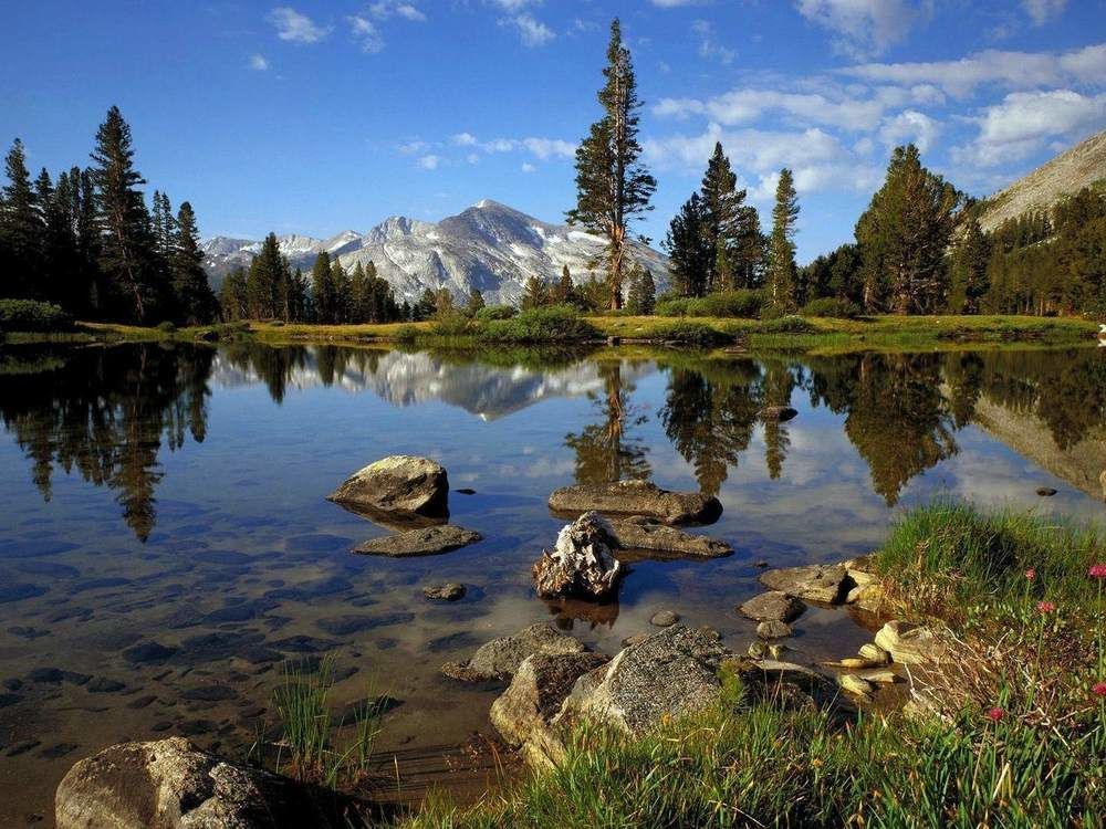 Lower Cascades Йосемити Уест Екстериор снимка